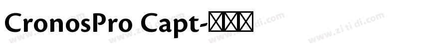 CronosPro Capt字体转换